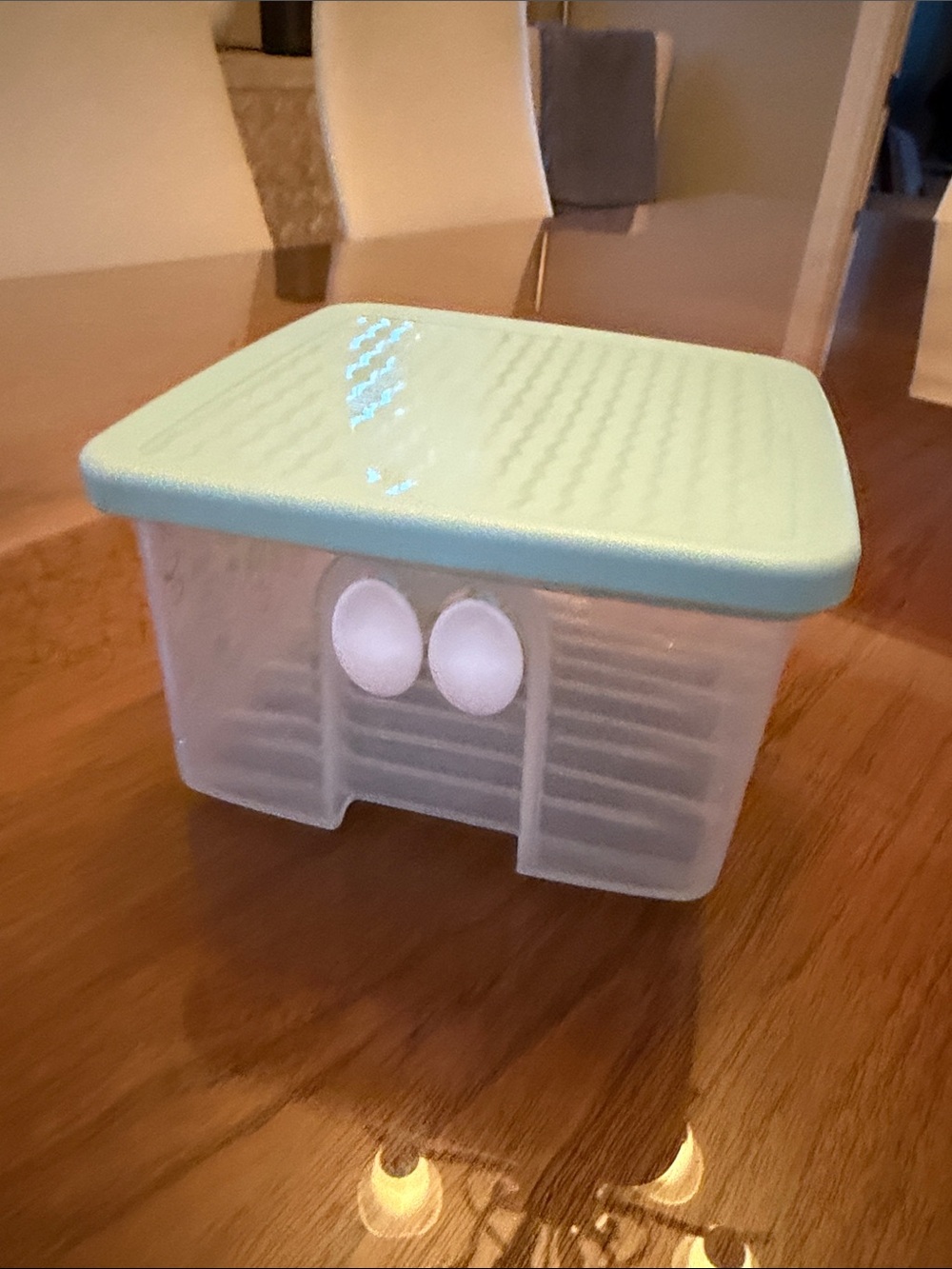 Tupperware Aqua Lid Clear Plastic Storage Bin - Home Storage & Organization